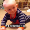 宝宝突然拉粑粑，狗狗闻了一下，下一秒狗的举动让主人哭笑不得