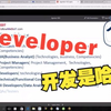 Developer 开发是啥