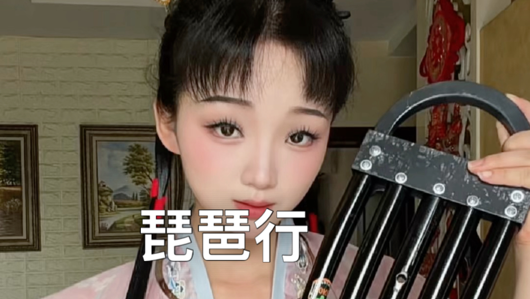 这是一件乐器，你们说对不对·翻唱·《琵琶行》
