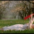 【4K+字幕】捷克唯美诗歌电影《野花》爱尔本的异色童话集 最高清画质 kytice 2000