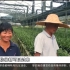 【午间30分】乐昌：农户携手种植基地 兰花助力脱贫增收