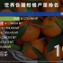 世界上柑橘产量最多的国家排行 谁是柑橘产量大国