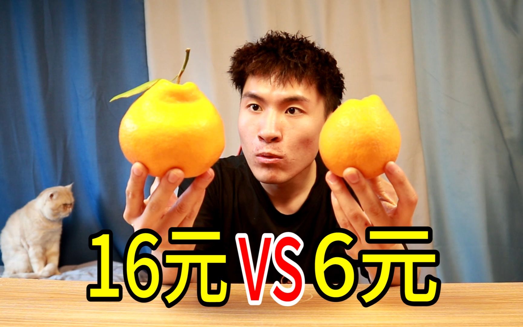 16元一斤的春见耙耙柑对比6元一斤的，味道差距竟然这么大？