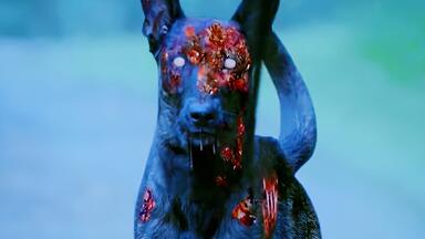 印度版<em class="keyword">釜山行</em>《丧尸之吻》，一桶化学原料，导致上万人变异