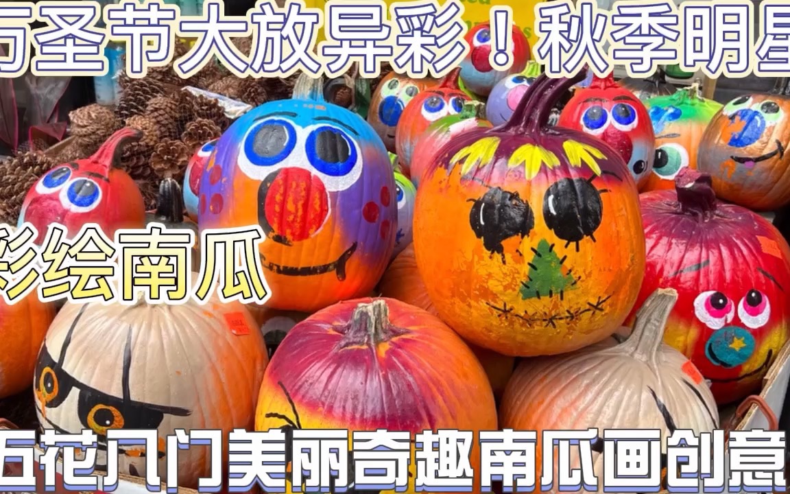 彩绘南瓜painted pumpkin 五花八门美丽奇趣创意!