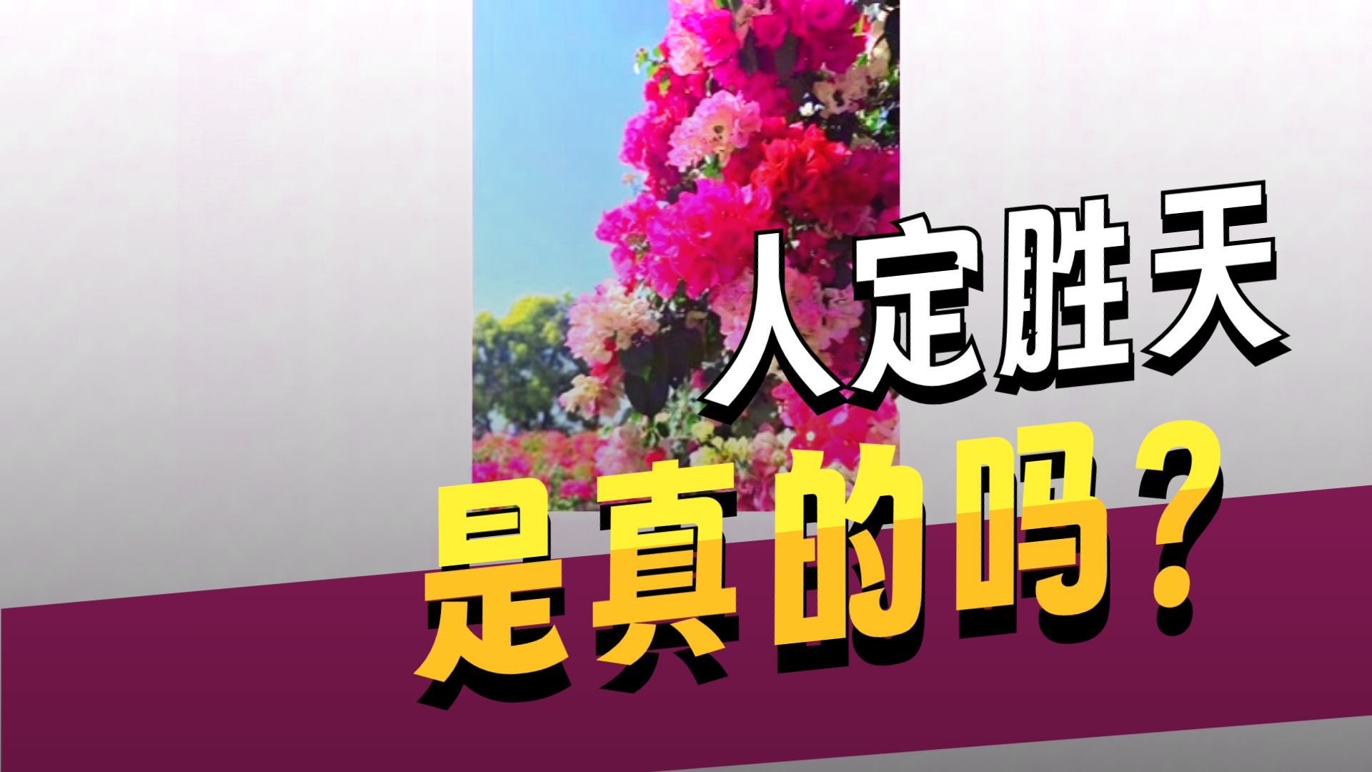 体佛法师开示：心安就是佛法