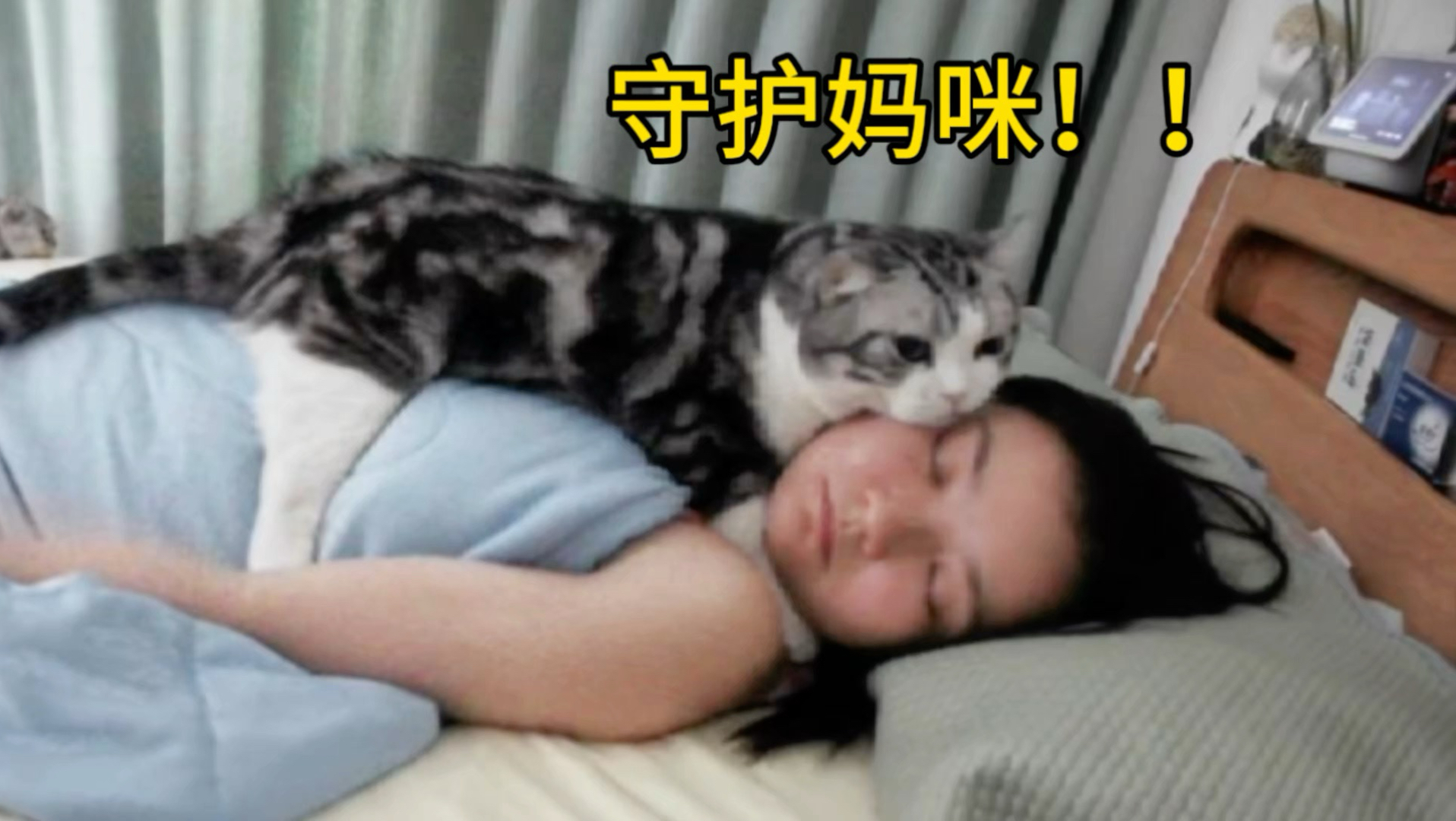 当你睡觉时，猫为了“守护”你能有多忙？