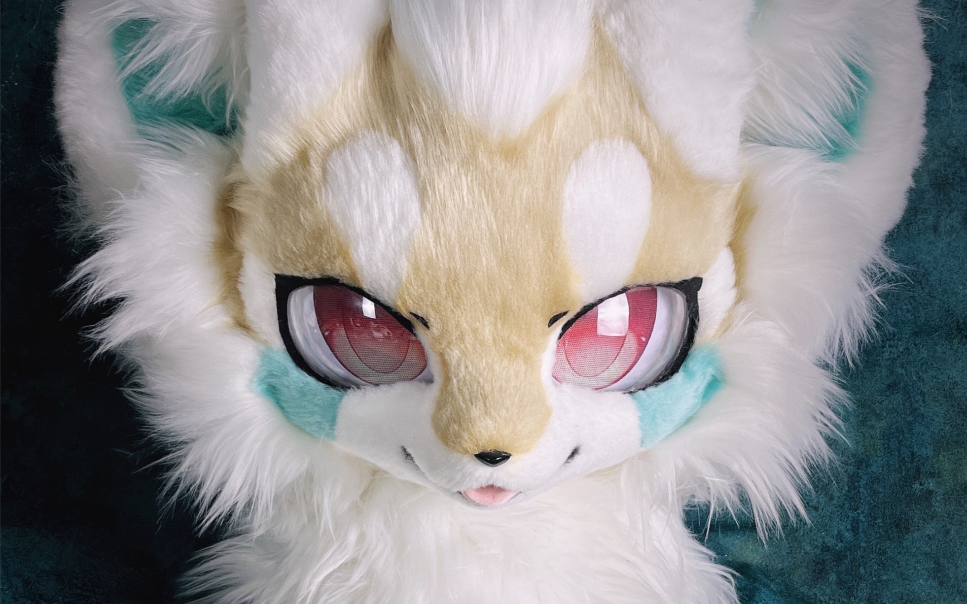 【fursuit兽装】即将开始的拍卖展示，是小狮子w