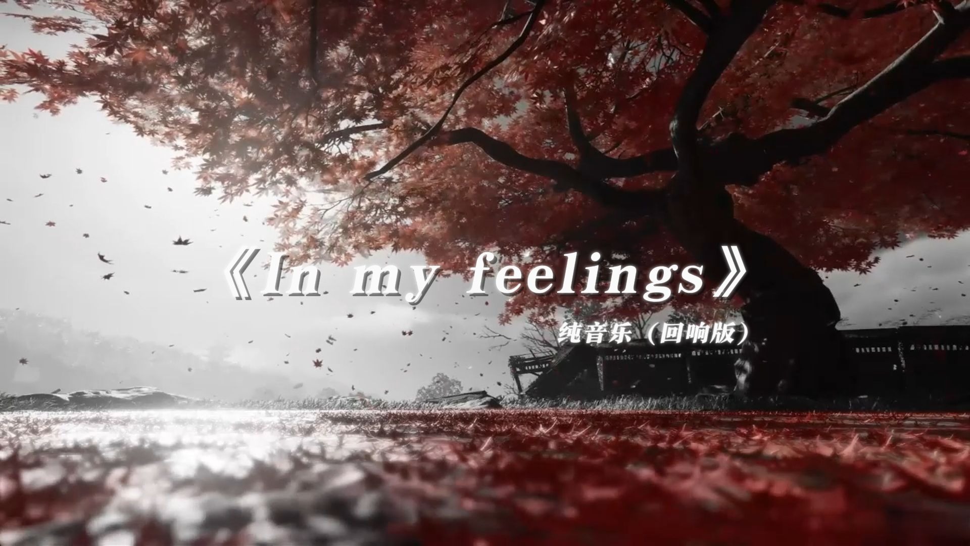 【回响版】《in my feelings》我试着销声匿迹，却发现真的无人问津