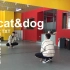 【南舞团】cat&dog txt 舞蹈教学 翻跳 练习室（上）