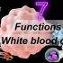 白细胞在人体内的7个主要功能 | 白细胞 | 类型和功能