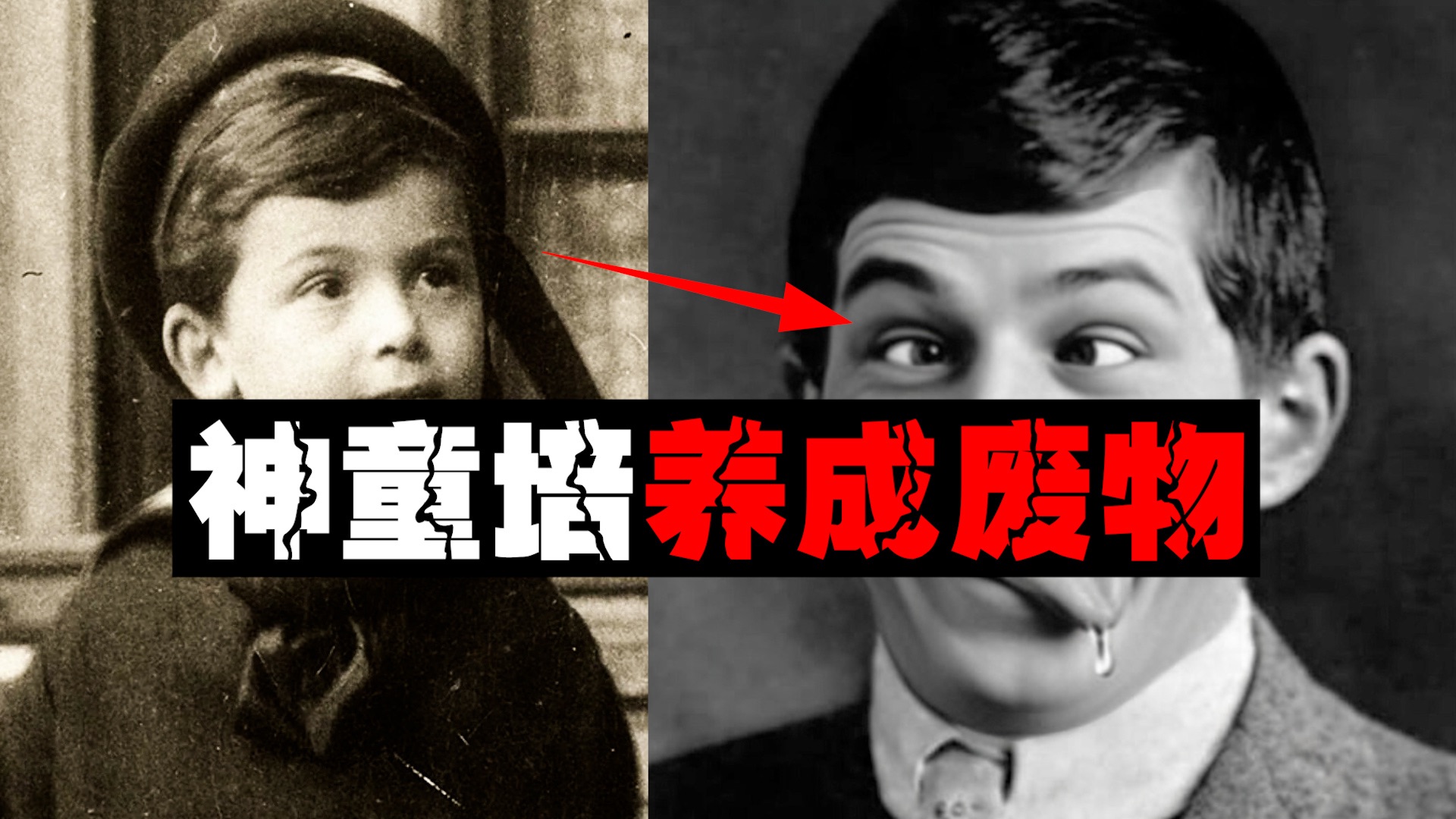 【最吓人教育】12岁哈佛教书精通40门语言，父母把神童养成神经病。。。