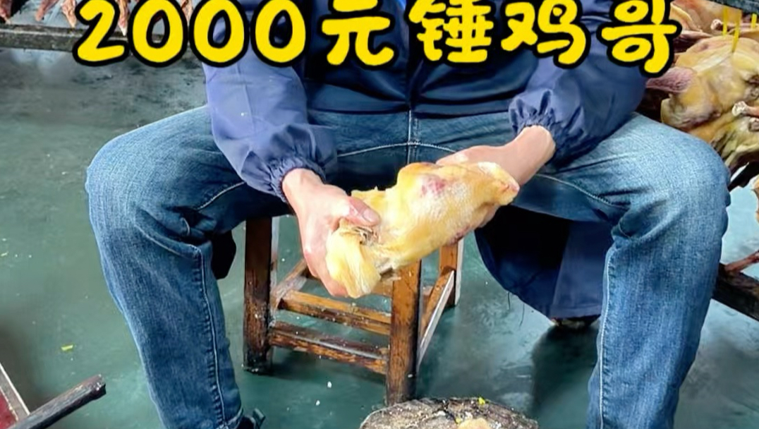 2000元锤鸡哥