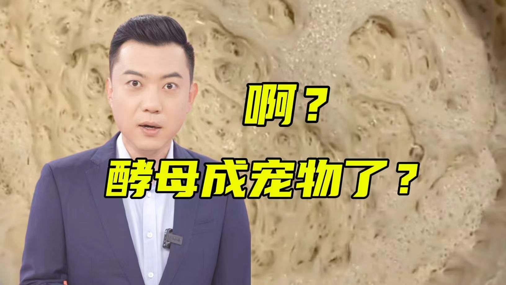 酵母当宠物养三年？！宠物新赛道or养殖需谨慎？【主播说三农】