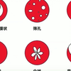 处女膜的12种形状原来破的才正常