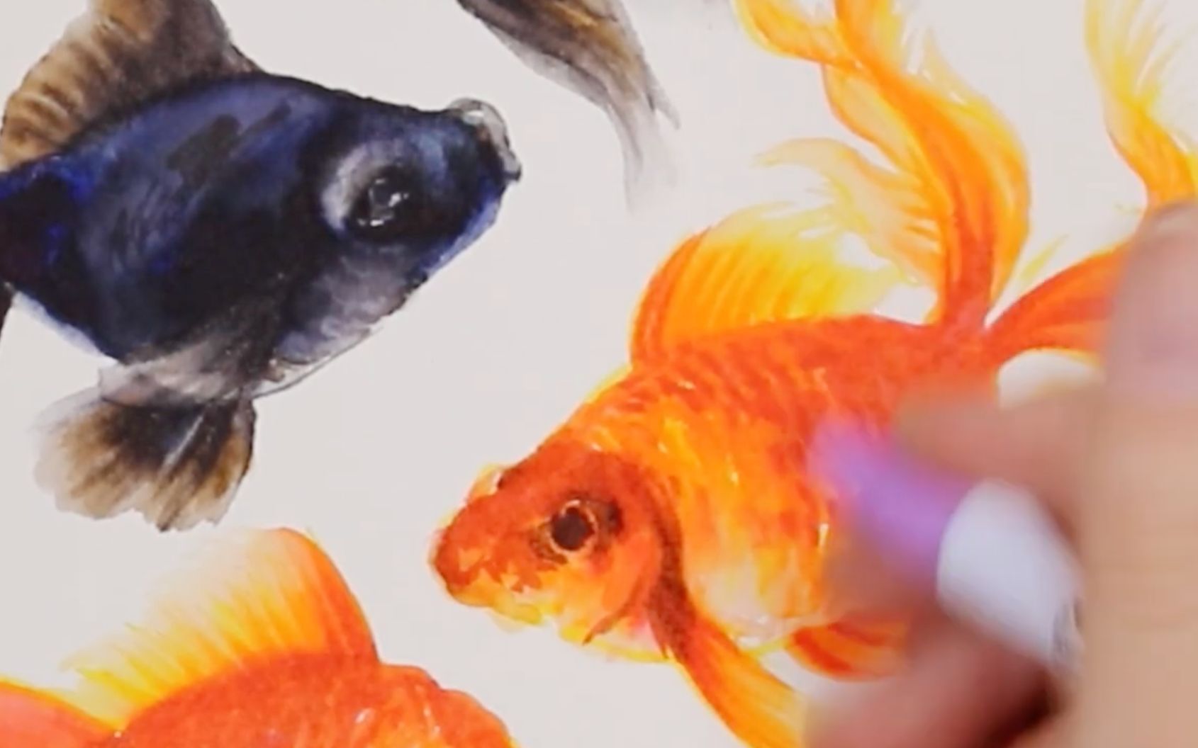 马克笔画金鱼goldfish金鱼