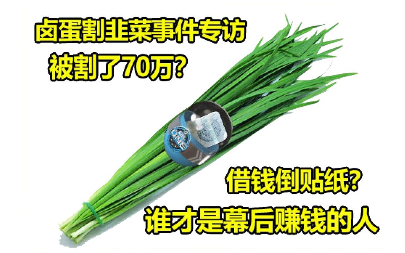 因为贴纸被割了70万的韭菜?【揭秘csgo背后的资本市场】番外篇 采访卤蛋割韭菜事件亲历者_哔哩哔哩_bilibili