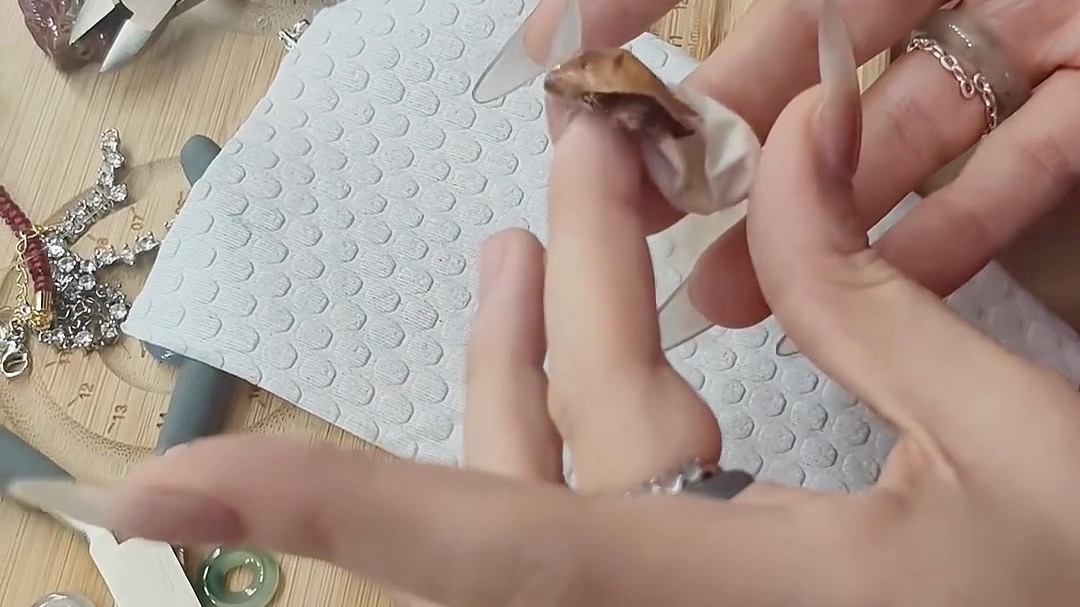 分享十一种不同品种的蜥蜴，看看你见过几种？