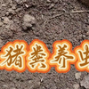 【大德庄生态农场】我的最新作品，快来一睹为快
