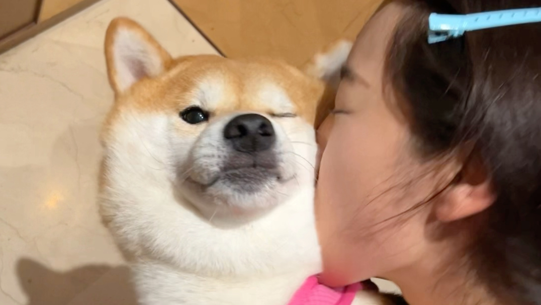 千万不要让陌生人摸你的狗，不然……