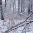 f963 寒冷冬天冬季冰雪世界下雪花雪景雪地树枝挂满白雪圣诞节LED大屏幕壮美大自然实拍视频素材
