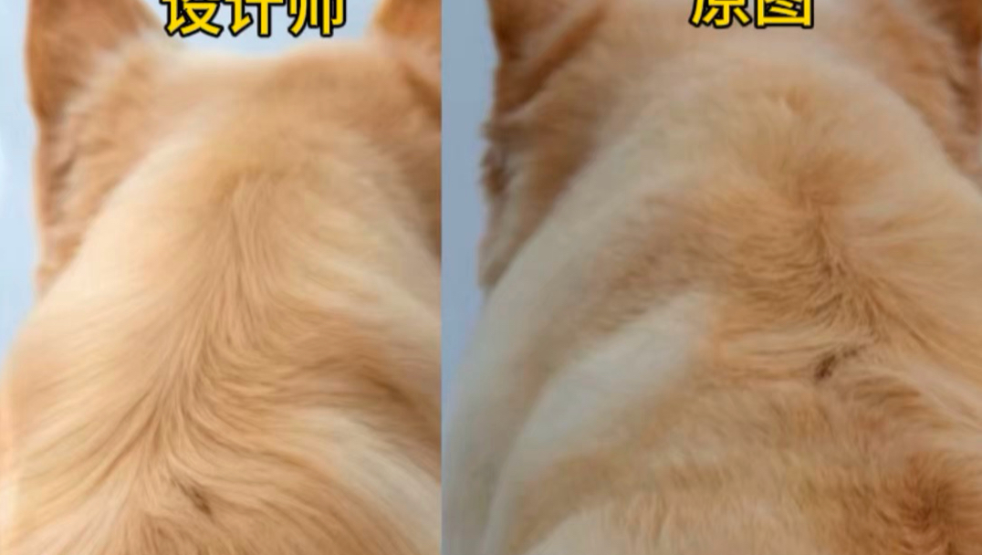 这事承包了我这阵子的所有崩溃