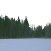 坂本龍一 | 雪国