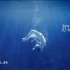 【王凯】【爱夸ALKAQUA】TVC广告正片+水下&平面拍摄花絮两则【超清】