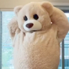 沙雕表情包布偶熊跳舞Charming bear 第七弹