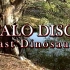 Last Dinosaurs - ITALO DISCO