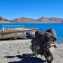 航拍中国 第一季 #骑摩托23万公里拍摄祖国山河