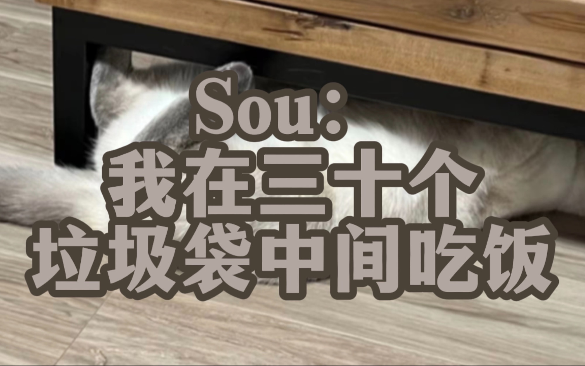 【Sou/中字】骗起人来一套一套的Sou