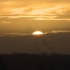 空镜头视频素材 日落太阳黄昏飞鸟 素材分享