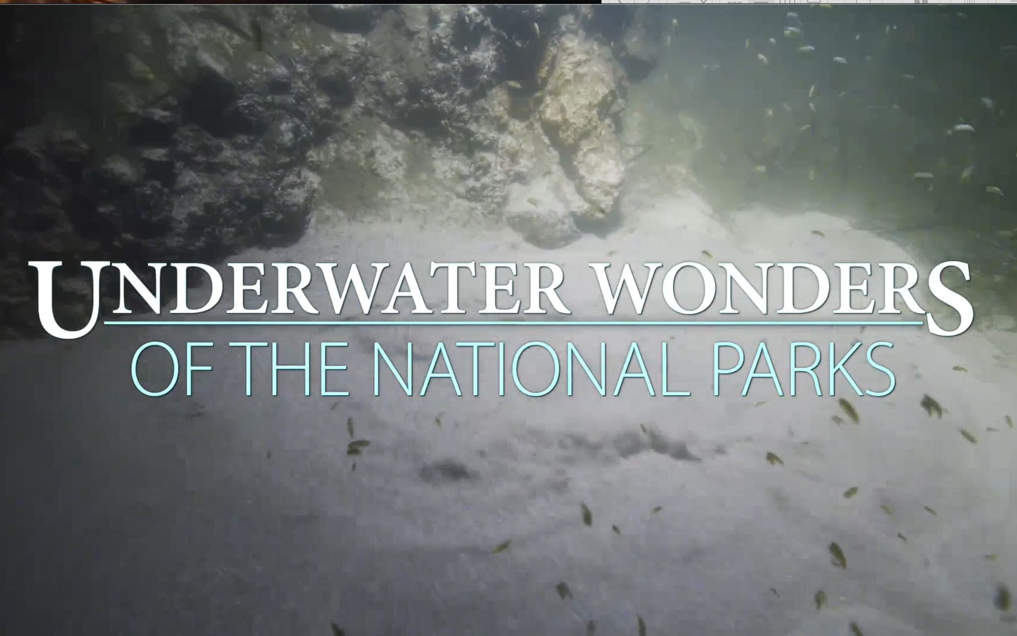【CuriosityStream】国家公园的水下奇景 Underwater Wonders Of The National Parks
