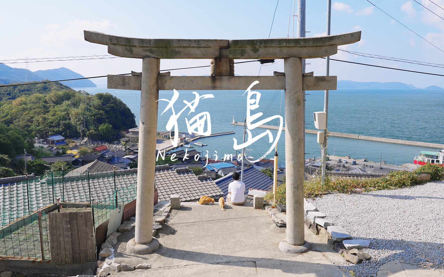 夏末的旅行，去一个叫猫岛的地方 | 濑户内海物语