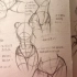 【人体绘画练习】跟着教程练习腰臀结构-伪教程·欧美教程简单中文翻译