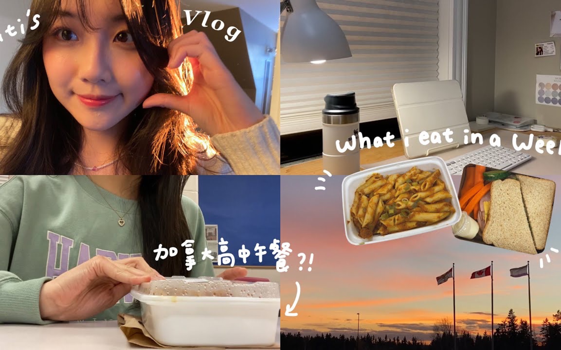 Bettytiti Vlog 23 2 20 Vlog What I Eat In A Week bettytiti-vlog-23-2-20-vlog-what-i-eat-in-a-week