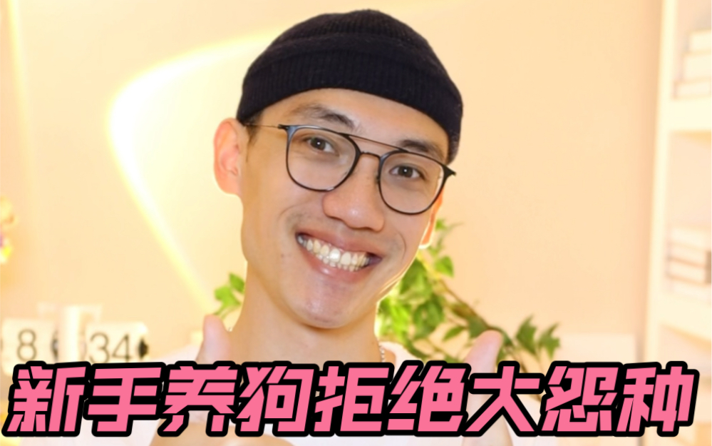 新手养狗如何不当大怨种｜汪爸爸全线测评