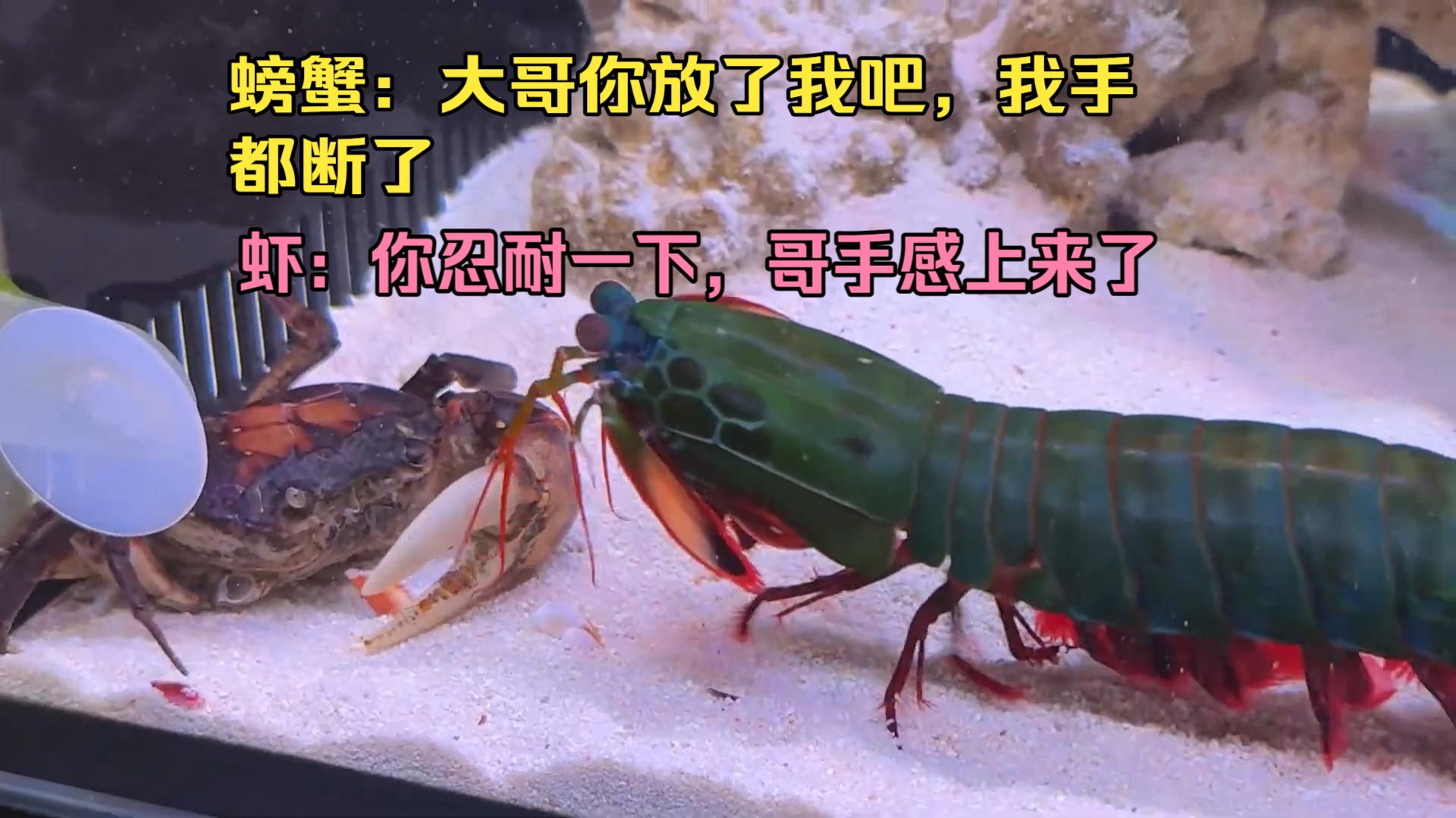 叫哥也没用，哥手感上来了，你忍耐一下