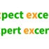 expect except excerpt expert export... 傻傻分不清?