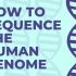 【TED科普】如何对人类基因组进行测序（中英字幕）