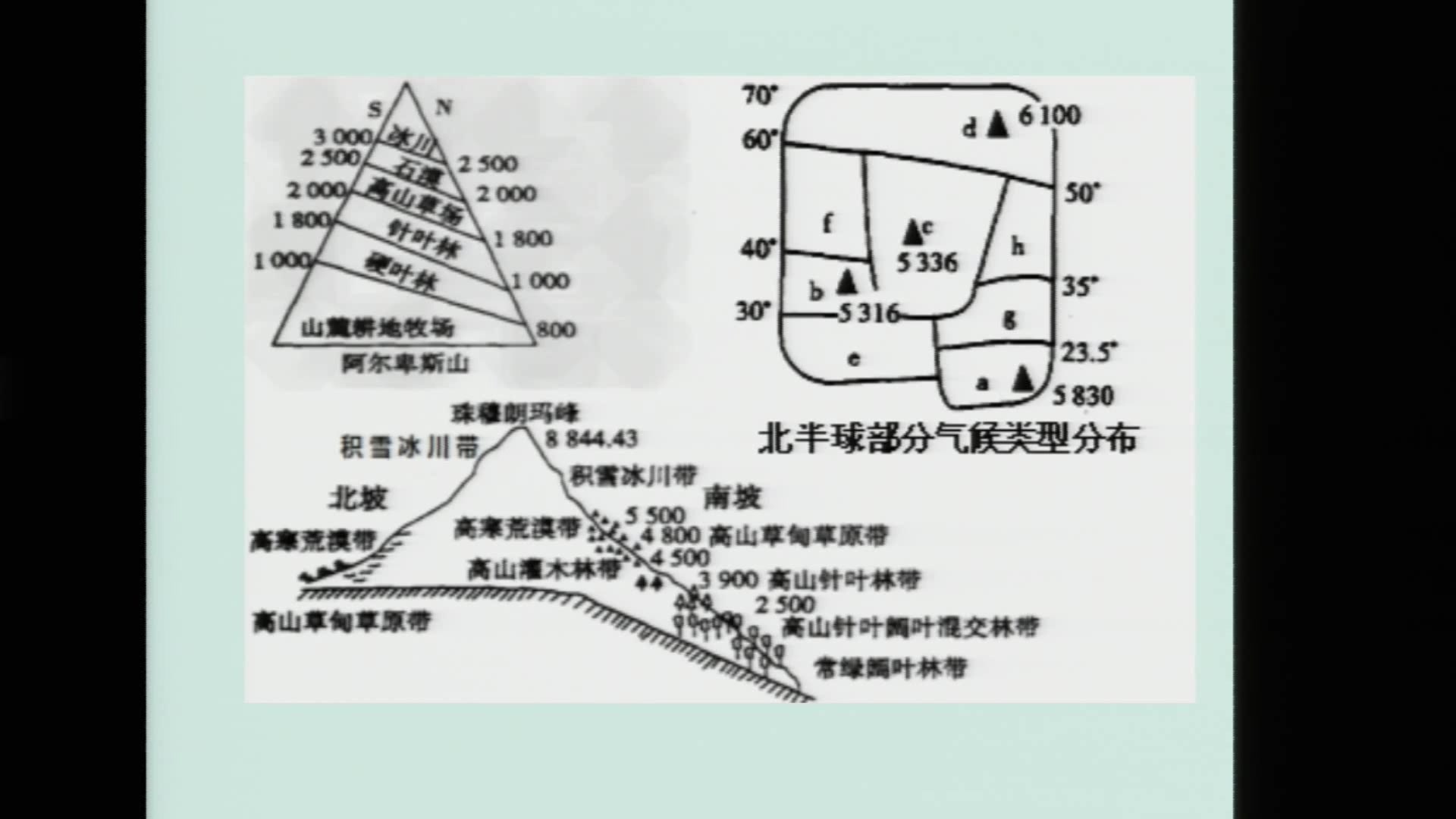 垂直地带性