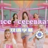 TWICE - Celebrate双语字幕