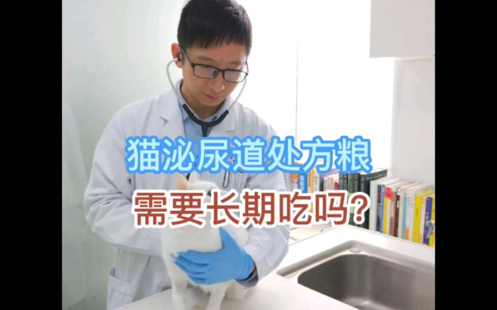 猫泌尿道处方粮需要长期吃吗？
