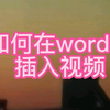 如何在word中插入视频