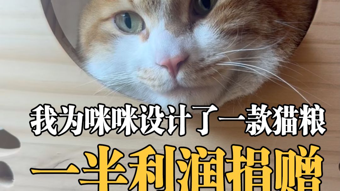 为了咪咪和舒先生，我下定决心做这件事