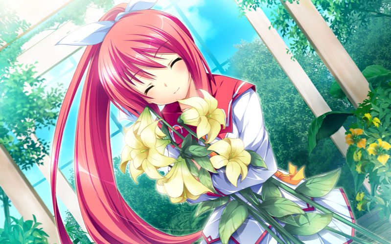 花与乙女的祝福名木城都29(都结局)_哔哩哔哩(゜-゜)つロ干杯~-bilibili