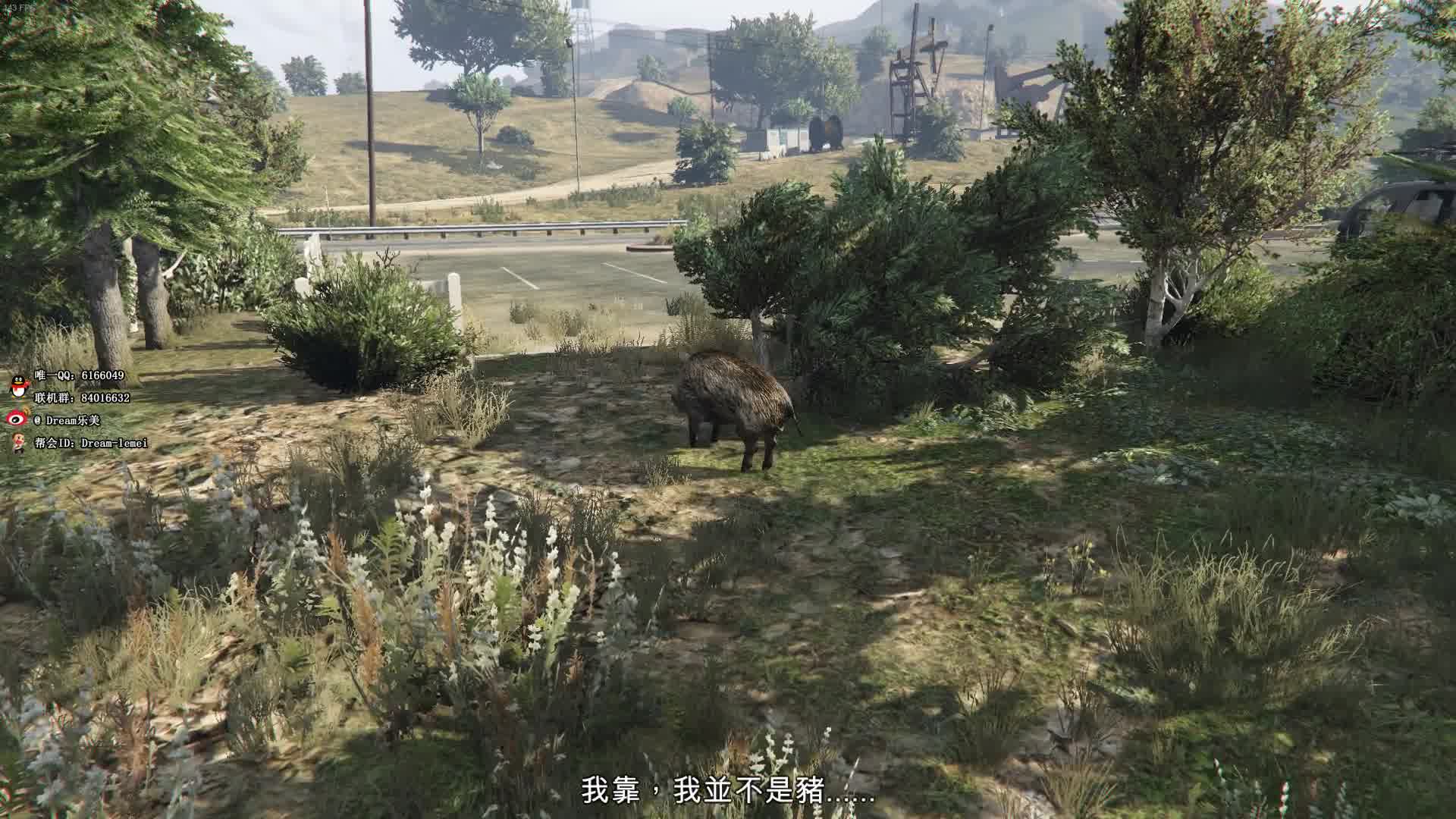 变身你以为神话里才有gta5迷幻仙人掌彩蛋解密乐美解说