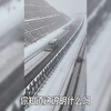 济南大暴雪，下了387个大明湖