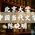 【北京大学】中国当代文学（全45讲）陈晓明